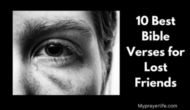 10 Best Bible Verses for Lost Friends