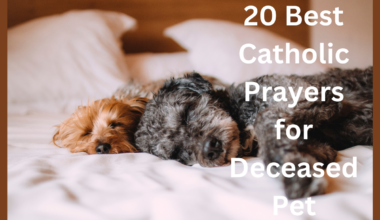 20 Best Catholic Prayers for Deceased Pet