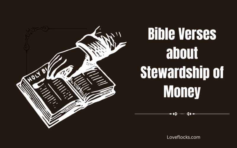 Bible Verses about Stewardship of Money