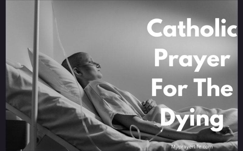 Catholic Prayer For The Dying