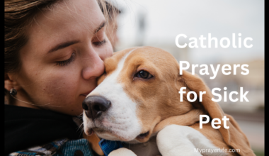 Catholic Prayers for Sick Pet