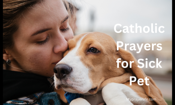 Catholic Prayers for Sick Pet