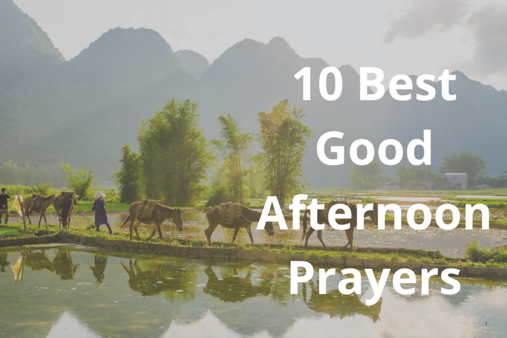 10 Best Good Afternoon Prayers