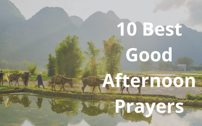 10 Best Good Afternoon Prayers