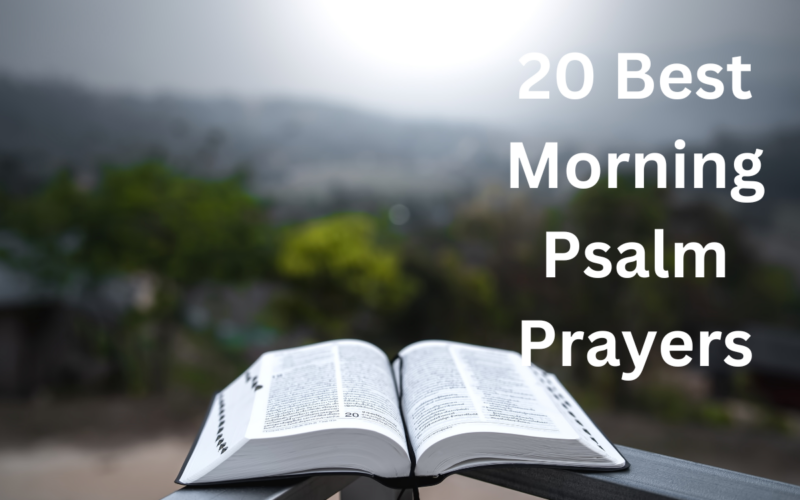 20 Best Morning Psalm Prayers