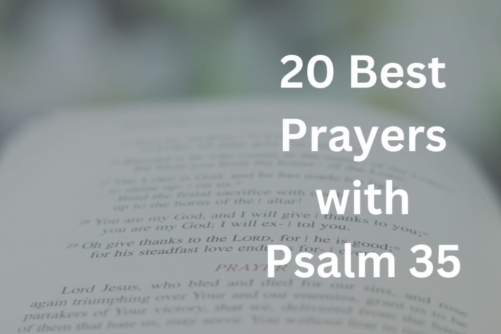 20 Best Prayers with Psalm 35
