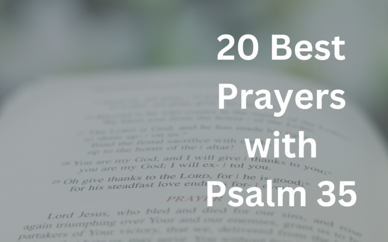 20 Best Prayers with Psalm 35