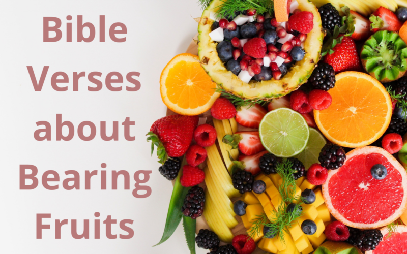 Bible Verses about Bearing Fruit