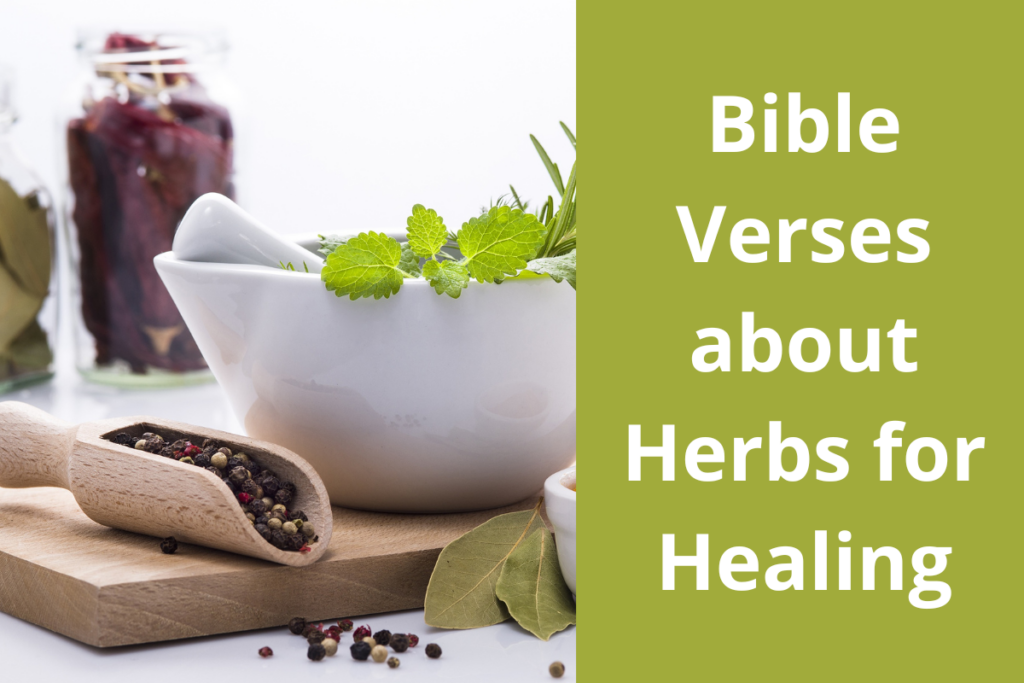 Bible Verses about Herbs for Healing