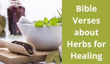 Bible Verses about Herbs for Healing