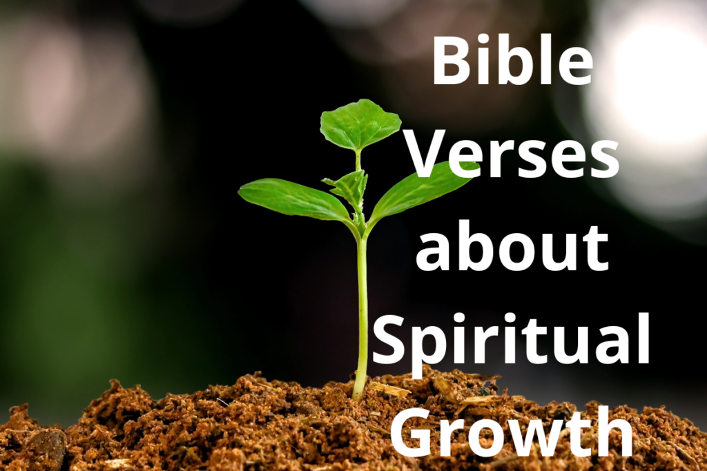 Bible Verses about Spiritual Growth