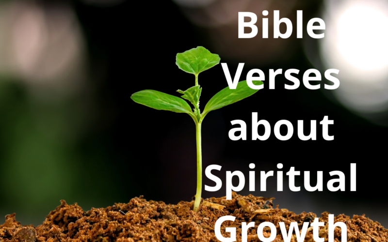 Bible Verses about Spiritual Growth