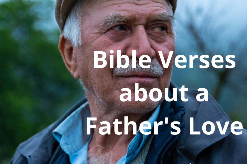 Bible Verses about a Father's Love