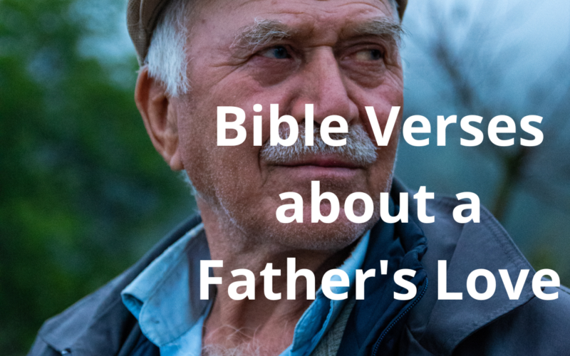 Bible Verses about a Father's Love