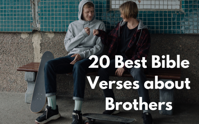 20 Best Bible Verses about Brothers