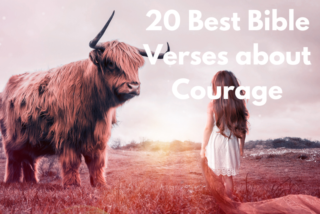 20 Best Bible Verses about Courage