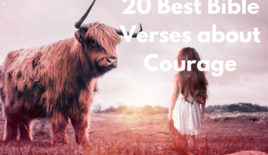 20 Best Bible Verses about Courage