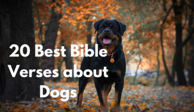 20 Best Bible Verses about Dogs