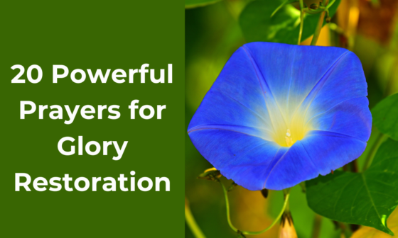 20 Powerful Prayers for Glory Restoration
