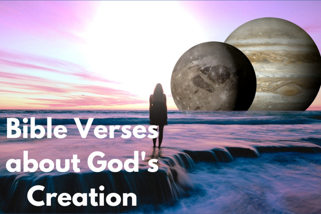 Bible Verses about God's Creation