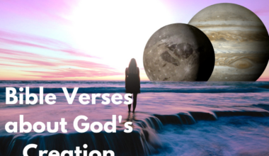 Bible Verses about God's Creation