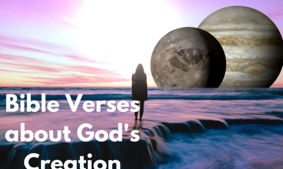 Bible Verses about God's Creation