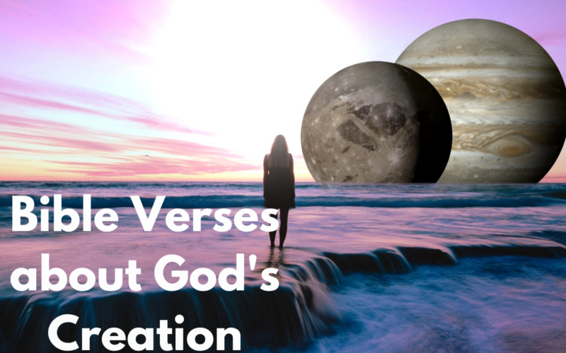 Bible Verses about God's Creation