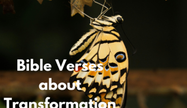 Bible Verses about Transformation