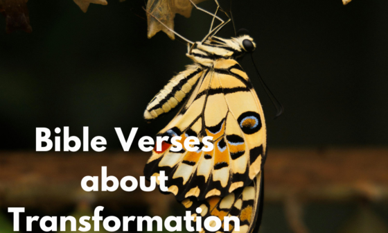 Bible Verses about Transformation