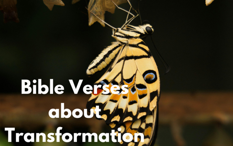 Bible Verses about Transformation