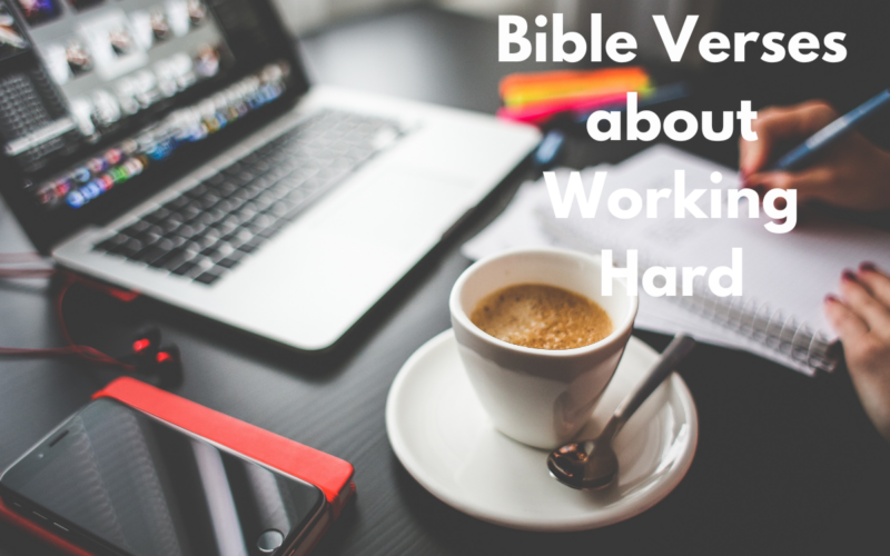 Bible Verses about Working Hard