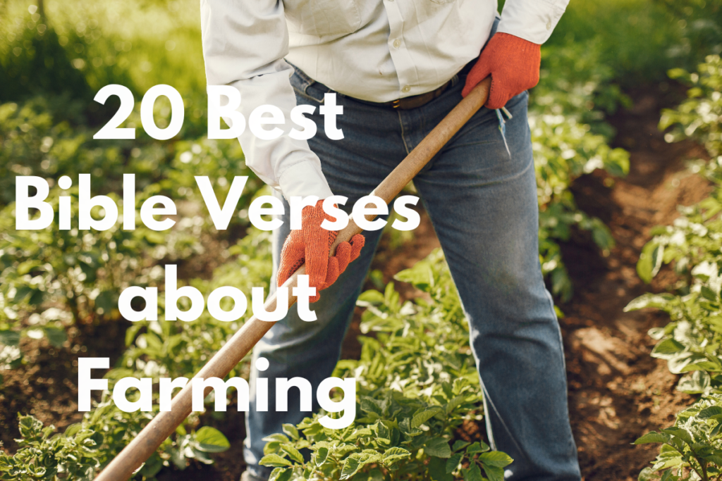 20 Best Bible Verses about Farming