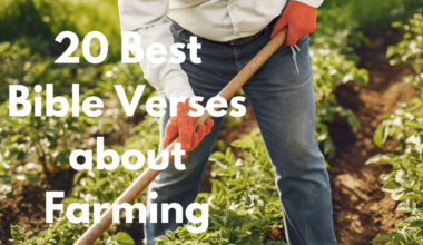 20 Best Bible Verses about Farming