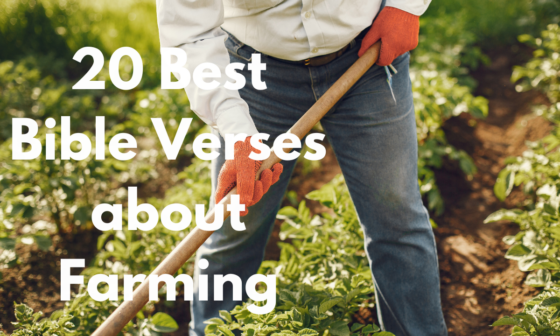 20 Best Bible Verses about Farming