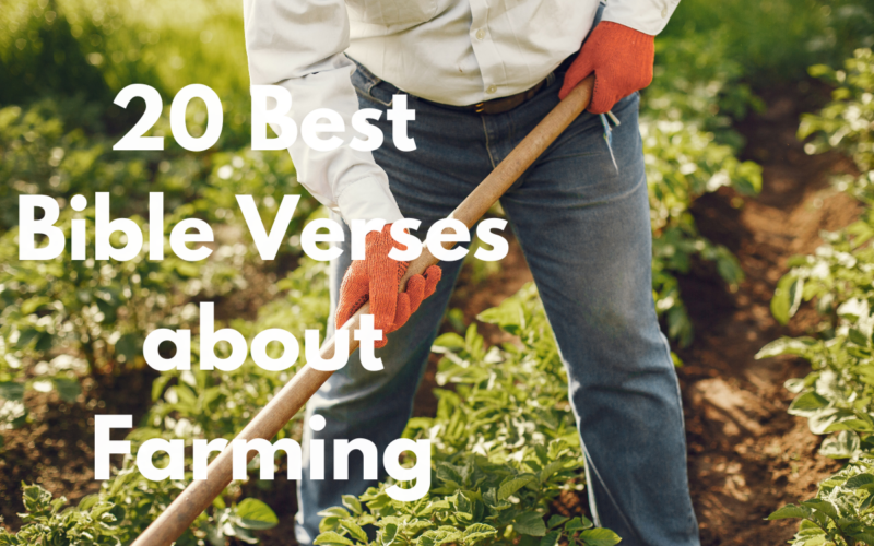 20 Best Bible Verses about Farming