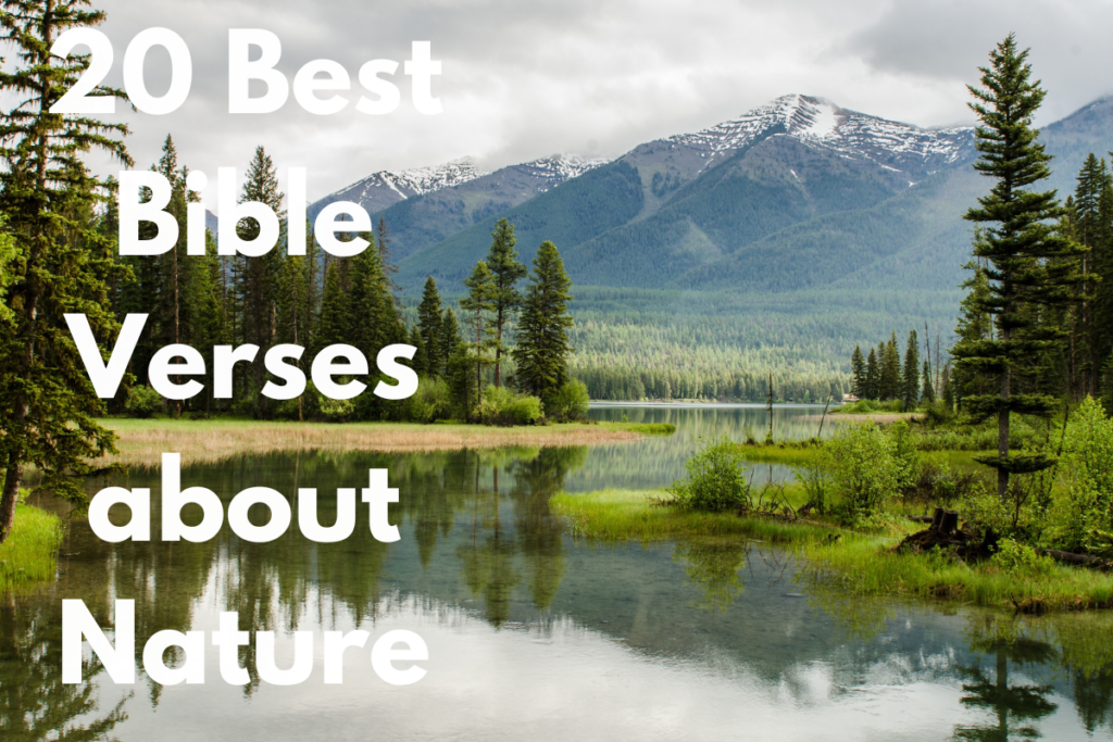 20 Best Bible Verses about Nature