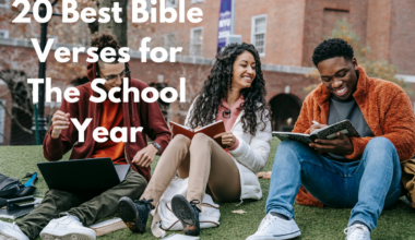 20 Best Bible Verses for The School Year