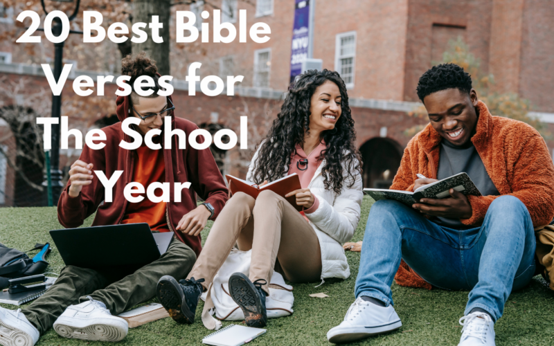 20 Best Bible Verses for The School Year