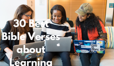 30 Best Bible Verses about Learning