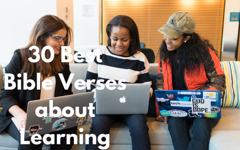 30 Best Bible Verses about Learning