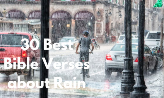 30 Best Bible Verses about Rain