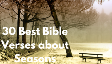 30 Best Bible Verses about Seasons