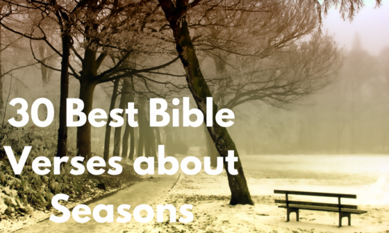 30 Best Bible Verses about Seasons