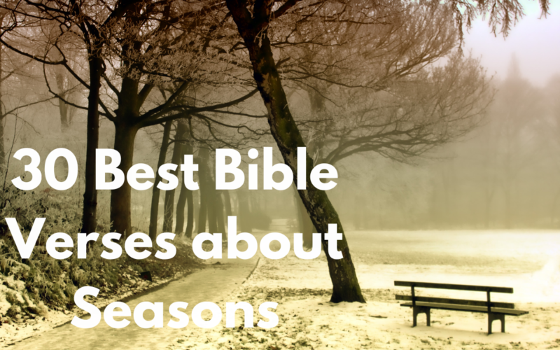 30 Best Bible Verses about Seasons