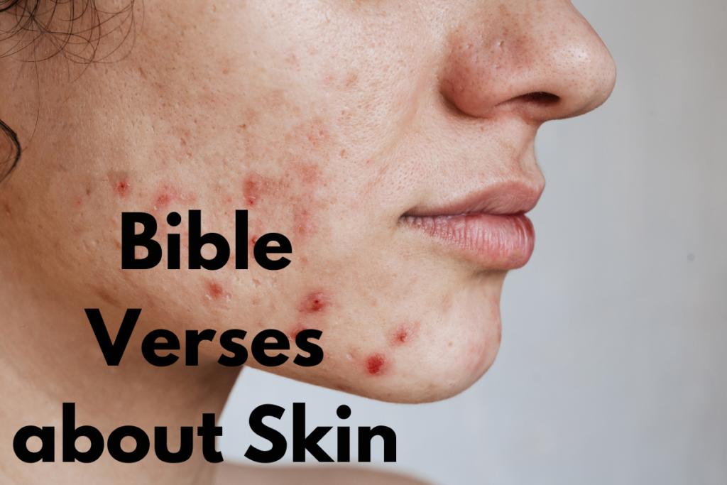 30 Best Bible Verses about Skin