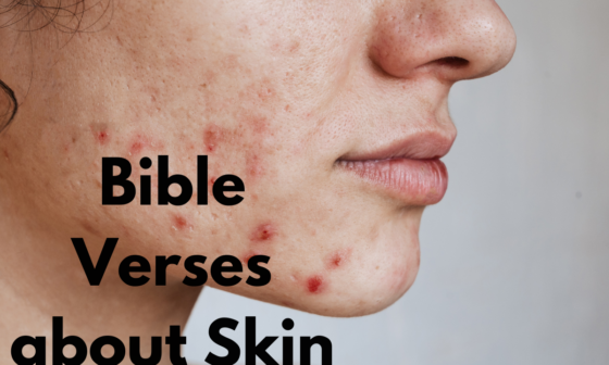 30 Best Bible Verses about Skin