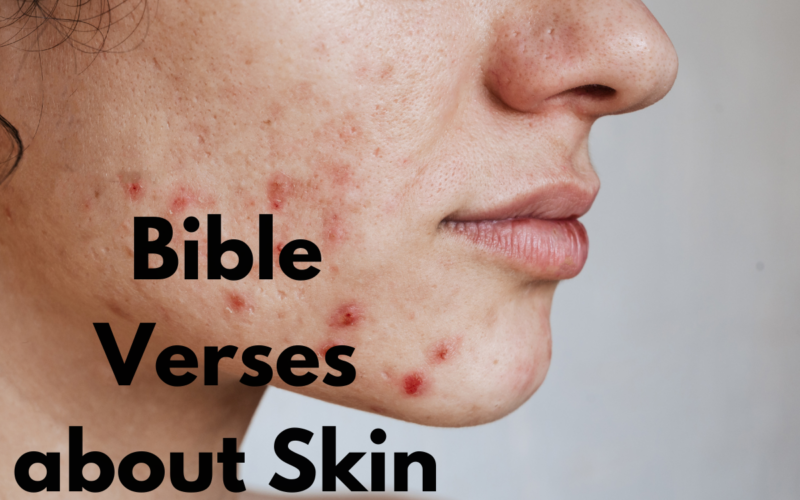 30 Best Bible Verses about Skin