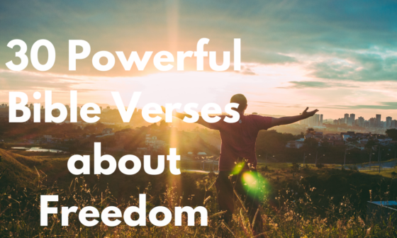 30 Powerful Bible Verses about Freedom