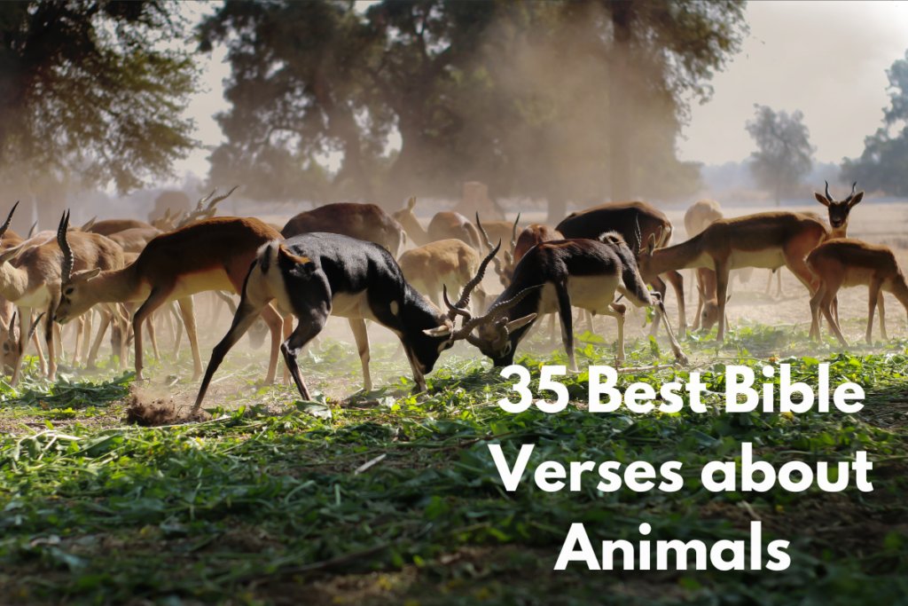 35 Best Bible Verses about Animals 