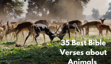 35 Best Bible Verses about Animals